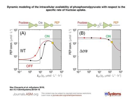 Dynamic modeling of the intracellular availability of phosphoenolpyruvate with respect to the specific rate of fructose uptake. Dynamic modeling of the.