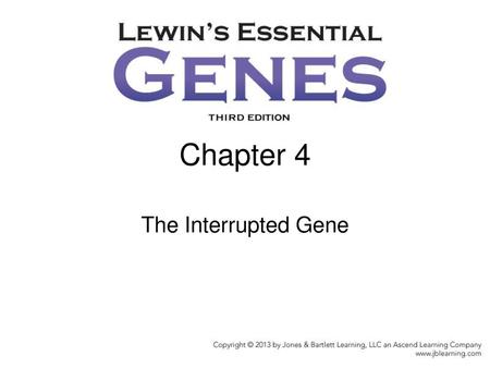 Chapter 4 The Interrupted Gene.