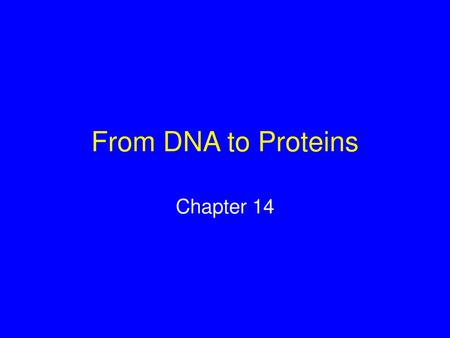 From DNA to Proteins Chapter 14.