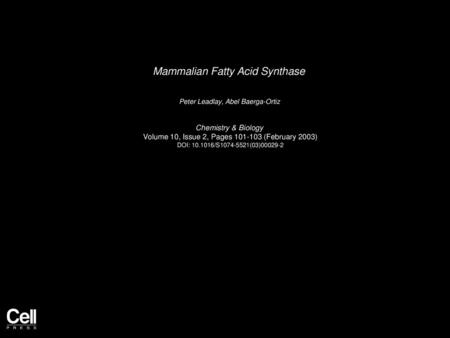 Mammalian Fatty Acid Synthase