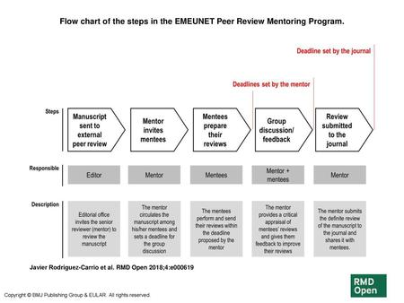 Flow chart of the steps in the EMEUNET Peer Review Mentoring Program.