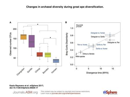 Changes in archaeal diversity during great ape diversification.