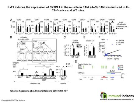 IL-21 induces the expression of CX3CL1 in the muscle in EAM