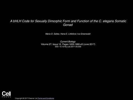 A bHLH Code for Sexually Dimorphic Form and Function of the C