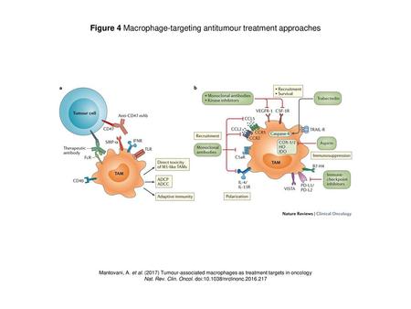 Figure 4 Macrophage-targeting antitumour treatment approaches