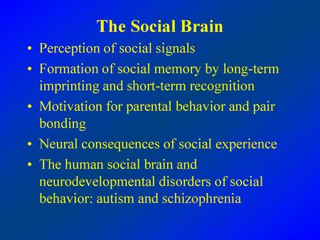 The Social Brain Perception of social signals