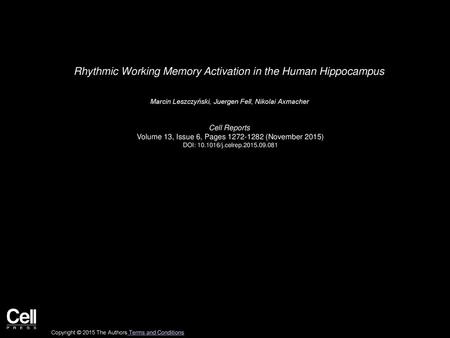 Rhythmic Working Memory Activation in the Human Hippocampus