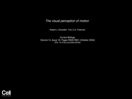 The visual perception of motion