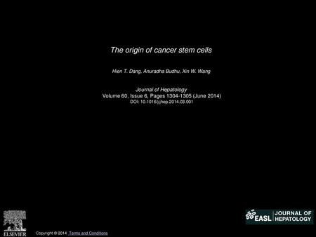The origin of cancer stem cells