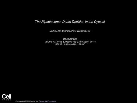 The Ripoptosome: Death Decision in the Cytosol