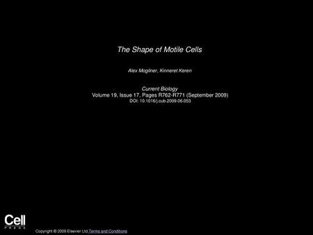 The Shape of Motile Cells