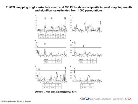 EpiQTL mapping of glucosinolate mean and CV