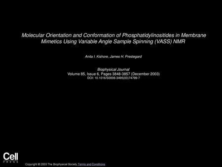 Molecular Orientation and Conformation of Phosphatidylinositides in Membrane Mimetics Using Variable Angle Sample Spinning (VASS) NMR  Anita I. Kishore,