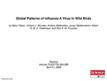 Global Patterns of Influenza A Virus in Wild Birds