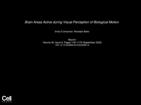 Brain Areas Active during Visual Perception of Biological Motion
