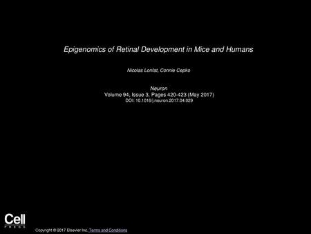 Epigenomics of Retinal Development in Mice and Humans