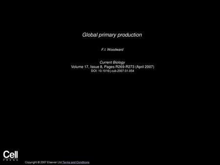 Global primary production