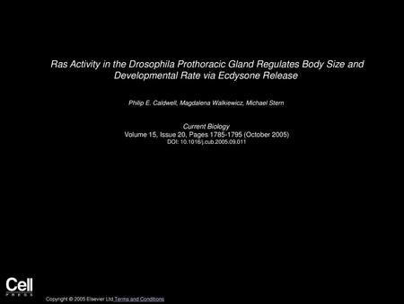 Ras Activity in the Drosophila Prothoracic Gland Regulates Body Size and Developmental Rate via Ecdysone Release  Philip E. Caldwell, Magdalena Walkiewicz,