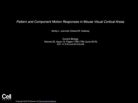 Pattern and Component Motion Responses in Mouse Visual Cortical Areas