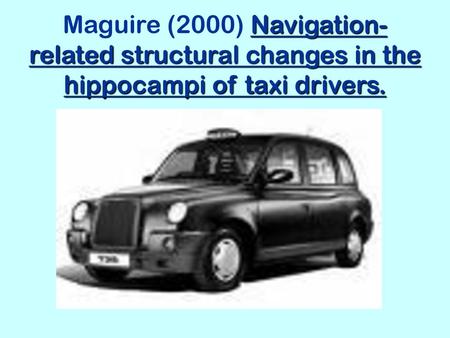 Maguire (2000) Navigation-related structural changes in the hippocampi of taxi drivers.