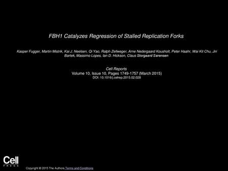 FBH1 Catalyzes Regression of Stalled Replication Forks