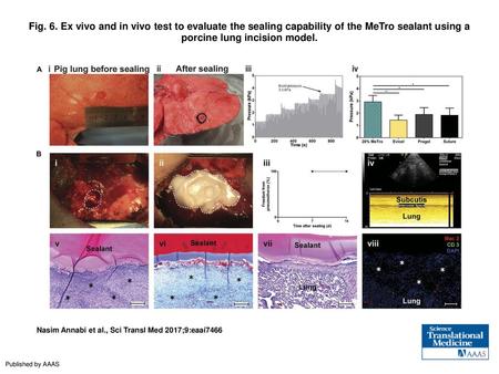 Fig. 6. Ex vivo and in vivo test to evaluate the sealing capability of the MeTro sealant using a porcine lung incision model. Ex vivo and in vivo test.