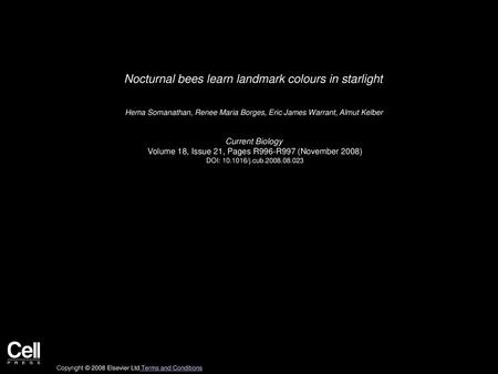 Nocturnal bees learn landmark colours in starlight