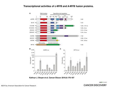 Transcriptional activities of c-MYB and A-MYB fusion proteins.