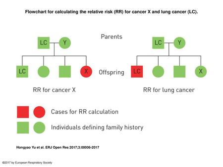 Flowchart for calculating the relative risk (RR) for cancer X and lung cancer (LC). Flowchart for calculating the relative risk (RR) for cancer X and lung.