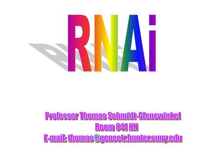 RNAi Professor Thomas Schmidt-Glenewinkel Room 841 HN