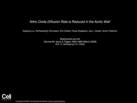 Nitric Oxide Diffusion Rate is Reduced in the Aortic Wall
