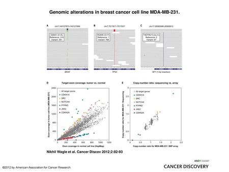 Genomic alterations in breast cancer cell line MDA-MB-231.