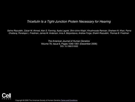 Tricellulin Is a Tight-Junction Protein Necessary for Hearing