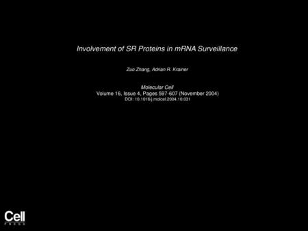 Involvement of SR Proteins in mRNA Surveillance
