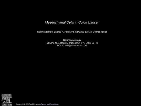 Mesenchymal Cells in Colon Cancer