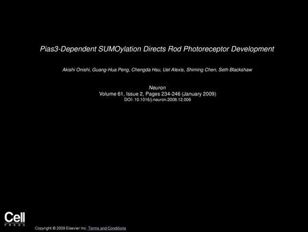 Pias3-Dependent SUMOylation Directs Rod Photoreceptor Development