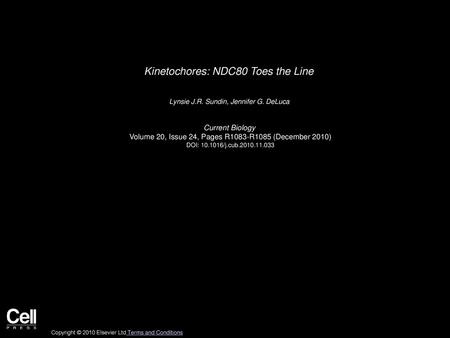 Kinetochores: NDC80 Toes the Line
