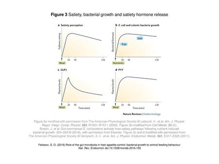 Figure 3 Satiety, bacterial growth and satiety hormone release