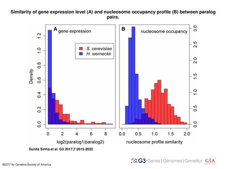 Similarity of gene expression level (A) and nucleosome occupancy profile (B) between paralog pairs. Similarity of gene expression level (A) and nucleosome.