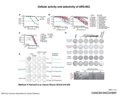 Cellular activity and selectivity of ARS-853.