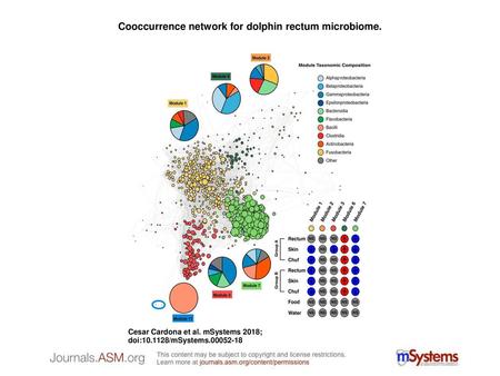 Cooccurrence network for dolphin rectum microbiome.