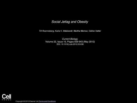 Social Jetlag and Obesity