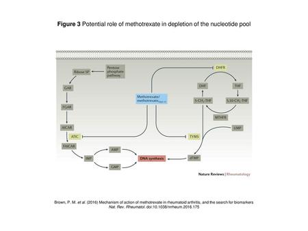 Nat. Rev. Rheumatol. doi: /nrrheum