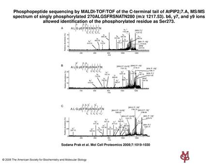 Phosphopeptide sequencing by MALDI-TOF/TOF of the C-terminal tail of AtPIP2;7.A, MS/MS spectrum of singly phosphorylated 270ALGSFRSNATN280 (m/z 1217.53).