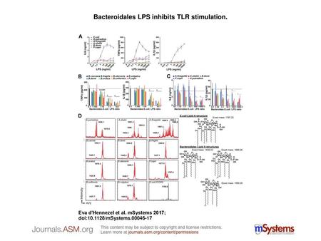Bacteroidales LPS inhibits TLR stimulation.