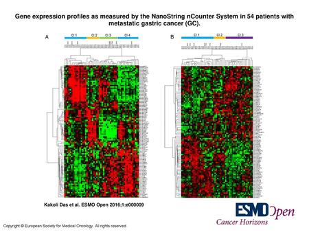 Gene expression profiles as measured by the NanoString nCounter System in 54 patients with metastatic gastric cancer (GC). Gene expression profiles as.