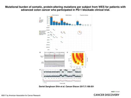 Mutational burden of somatic, protein-altering mutations per subject from WES for patients with advanced colon cancer who participated in PD-1 blockade.