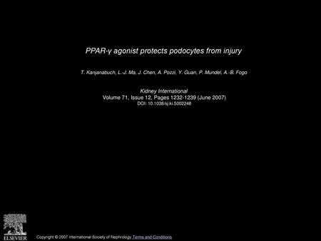 PPAR-γ agonist protects podocytes from injury