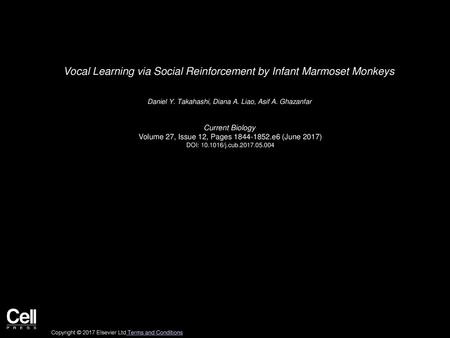 Vocal Learning via Social Reinforcement by Infant Marmoset Monkeys