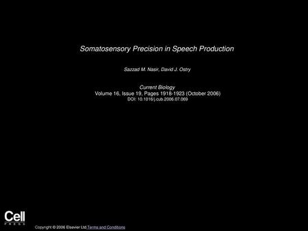 Somatosensory Precision in Speech Production